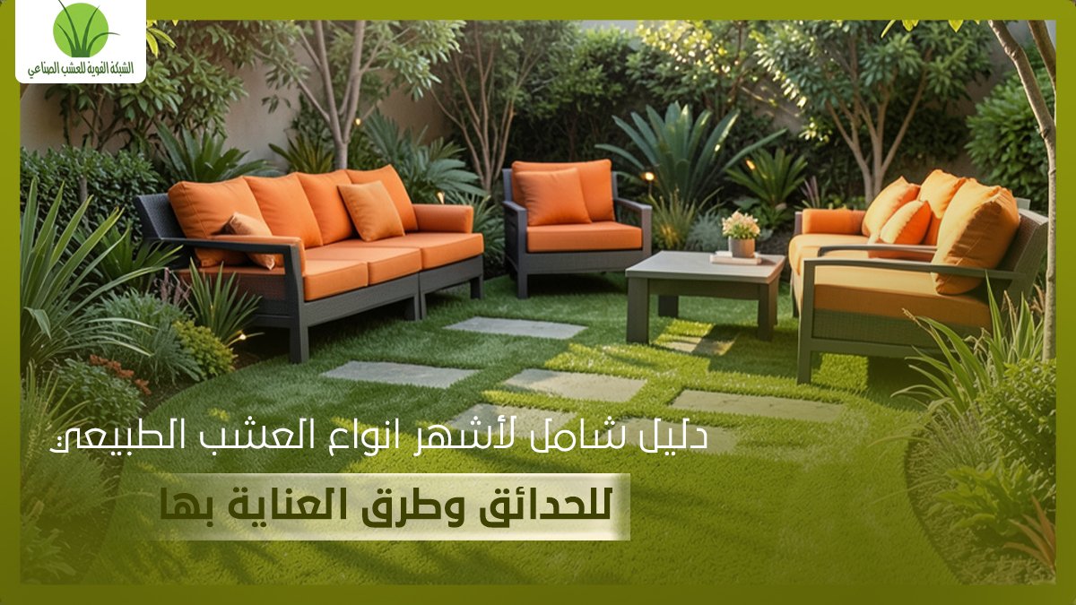 A Complete Guide to the Most Popular Types of Natural Grass for Gardens and How to Care for Them