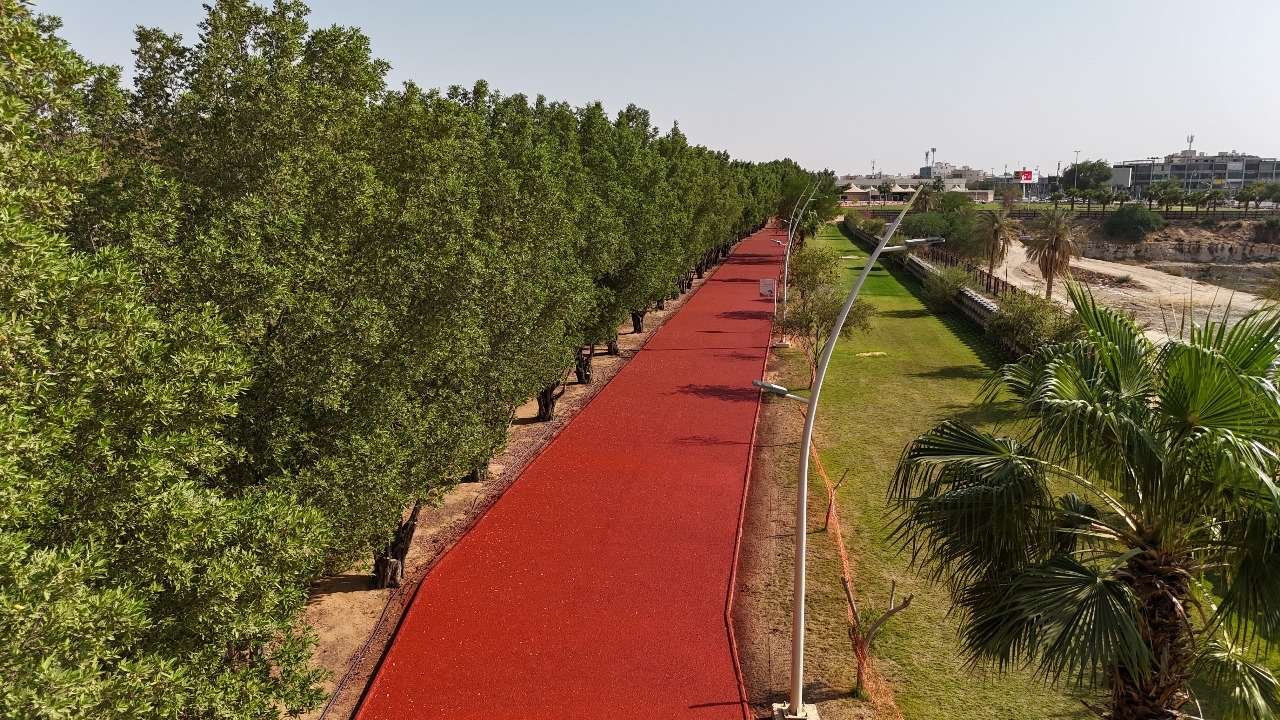 مسارات المشي