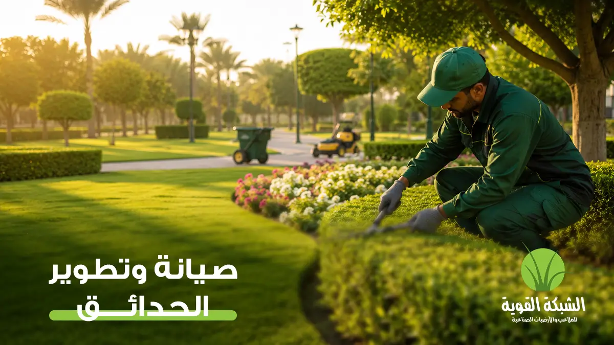 Garden Maintenance and Development: How to Keep Your Garden Beautiful and Choose the Right Service